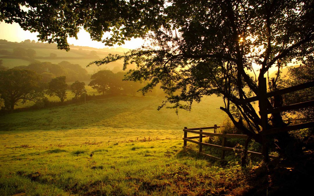 Tranquil valley